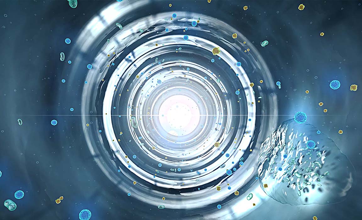 copyright laurent buffo